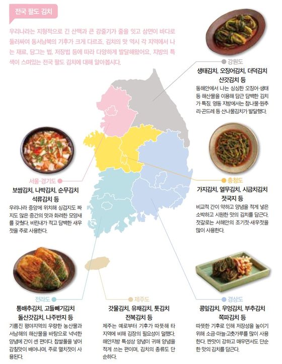 소년중앙] 천년에 걸쳐 한국인의 밥상 지켜온 김치① 과거·현재·미래를 맛보다