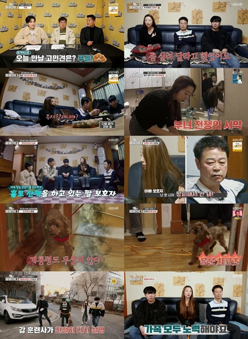 사진=KBS2 ‘개는 훌륭하다’ 캡처