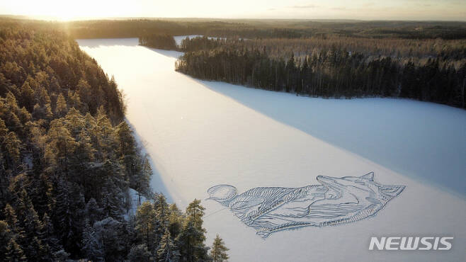 [코펜하겐=AP/뉴시스] 2021년 12월 핀란드 헬싱키 북쪽에 있는 삣까야르비비 호수에서 대형 여우 그림이 있다. 핀란드 남부 건축설계자 패시 위드그렌이 올해도 호수로 와서 눈삽으로 이 그림을 완성했다. 2022.01.30.