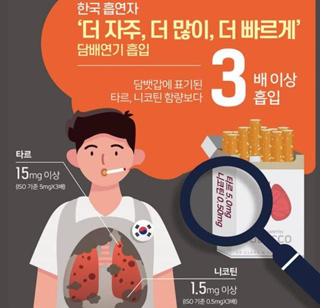궐련 담배 흡연자 흡연 습성 인포그래픽. 질병관리청 제공
