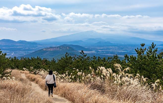제주도 서귀포 표선면 백약이오름. 정상에 거대한 원형 굼부리가 있다. 거닐기 좋은 하늘길이다. 멀찍이 한라산이 보인다.