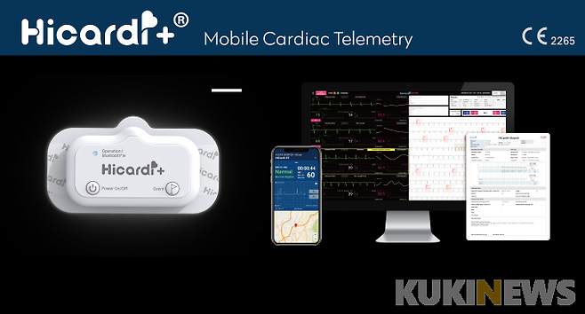 하이카디플러스.
