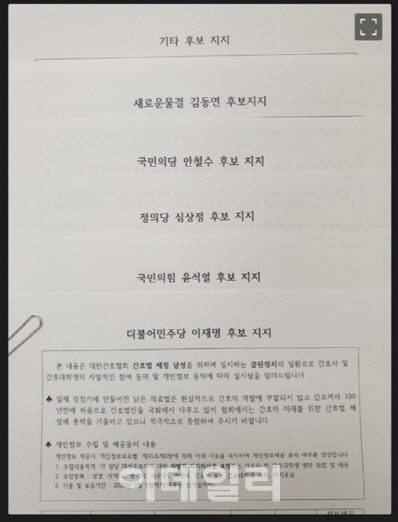 대한간호협회에서 간호사와 간호대학생을 대상으로 진행하는 대선후보 선호조사 설문지.(사진=온라인 커뮤니티 캡처)