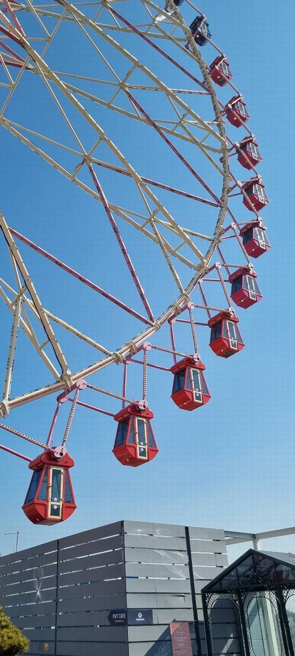 울산엔 옥상 위에 대관람차가 서있는 백화점도 있다. 롯데백화점 울산점 7층 옥상에는 높이 107m의 대관람차가 운영 중이다.