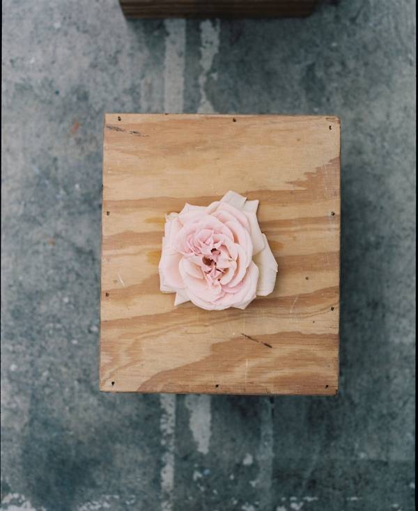 오르메 향수의 기본이 되는 자연의 원료, 꽃.