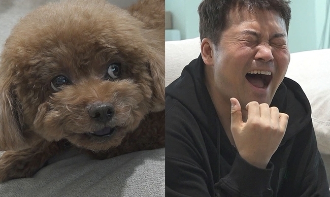 I Live Alone Jun Hyun-moo was caught with Hallasan face which was hit by the time of the year.He opened Mumu Dog Kindergarten for SHINee Keys dog, and he is said to have been able to covet dog food because his physical strength was discharged and his soul was not threshed, making him expect a laugh bomb of the past.MBC I Live Alone, which will be broadcasted at 11:10 pm on March 11, will broadcast Jun Hyun-moos Mu Mu Puppy Kindergarten.Jun Hyun-moo is caught with SHINees pet dogs Tude and Garson, which raises questions.Especially, his face, which holds a puppy in his arms, reminds him of the time of the Hallasan climbing, which was a topic of old visual shock for 100 years in two hours.Jun Hyun-moo will open a daily Mu Mu Puppy Kindergarten to showcase puppies and past-class chemi.The key to leaving the place due to personal schedule was the meeting with Jun Hyun-moo, who asked for a dog day care.He has been showing off his unique puppy affinity by taking charge of two dogs of professional baseball player Hwang Jae-gyun.The entertainment industry representative Shichu Sang Jun Hyun-moo was confident in capturing the hearts of the dogs, but the key dogs were tough.It is said that he has taken over the Director Mu Mu with his eyes and has begun to suppress the steamer, raising expectations. The thorn field road (?) in front of him, who has been completely defeated since the early battle, is expected to give a restless smile.Jun Hyun-moo throws and throws the ball until the time of the loss of the shoulder, and tries to buy a favor, and he courts himself by cooking a special meal Galbi-tang for the dingy.I have not seen it with my mother, he said, adding that he prepared a limited-edition recipe with a recipe that perfectly considered nutrition without salt.