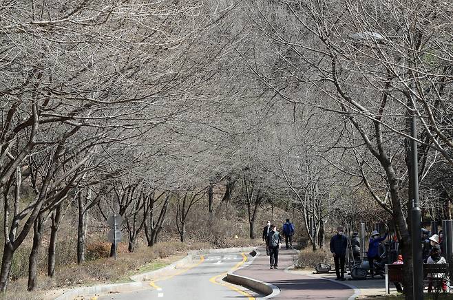 3월 29일 방화근린공원 산책로 모습. 강정현 기자