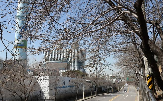 3월 29일 같은 장소. 이곳의 가로수도 수령이 제법 있는 벚나무가 자리하고 있다. 강정현 기자