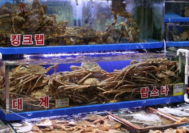 절반 수준으로 떨어진 대게 가격(노량진 수산시장 모습) / 사진=연합뉴스