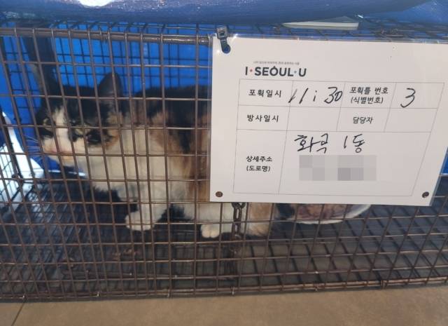 TNR은 포획(Trap), 중성화시술(Neuter), 제자리방사(Return)의 약어이다. 포획틀에는 포획 장소, 날짜, 포획한 캣돌봄이의 연락처가 적혀있다. 영역동물인 고양이를 정확한 포획장소에 풀어주기 위함이다. 사단법인 팅커벨프로젝트 제공