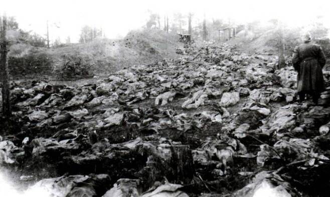 1943년 발굴된 카틴 집단 암매장지. 당시 소련과 전쟁중이던 나치 독일이 발굴해 공개했다.