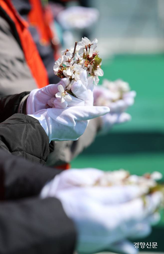 세월호참사 8주기인 16일 전남 진도군 세월호 사고 해역에서 열린 ‘4.16세월호 참사 8주기 선상추모식’에서 희생자 유가족들이 경기 안산 단원고에서 가져온 벚꽃을 들고 있다. / 권도현 기자