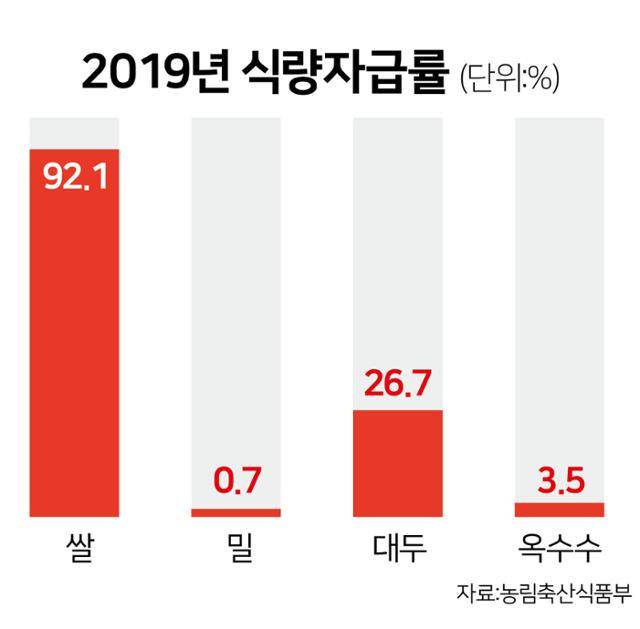 2019년 식량자급률