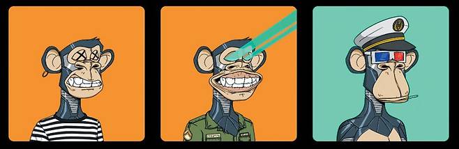 이 와중에 오른 NFT - 인기 NFT 컬렉션 '지루한 원숭이들의 요트 클럽(Bored Ape Yacht Club)' 작품들. NFT 시장 침체에도 가격이 더 올라 이달 들어 평균 가격이 35만달러(약 4억4000만원)를 넘어섰다. /BAYC