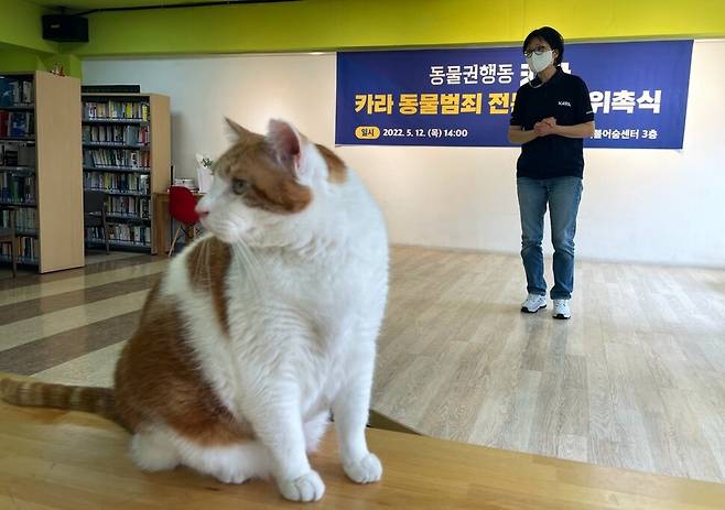 카라 전진경 대표가 12일 서울 서교동 더불어숨센터에서 열린 ‘카라 동물범죄 전문위원’ 위촉식에서 전문위원회 구성과 역할에 대해 설명하고 있다. 김지숙 기자 a href=\"mailto:suoop@hani.co.kr\"suoop@hani.co.kr/a