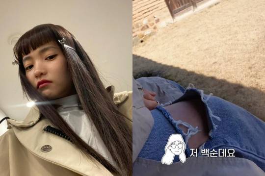 /사진=제이와이드컴퍼니 인스타그램 캡처, 유튜브 채널 '매니지먼트 엠엠엠(MANAGEMENT MMM OFFICIAL)' 캡처