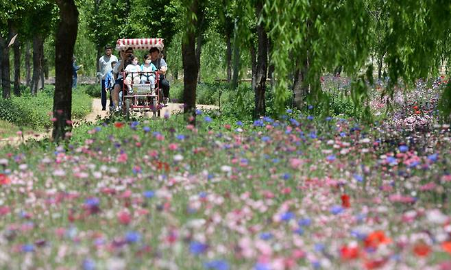화창한 봄 날씨를 보인 15일 경남 거창군 남상면 거창창포원을 찾은 방문객들이 꽃구경을 하고 있다. 거창군 제공