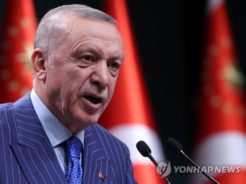 레제프 타이이프 에르도안 터키 대통령 [AFP 연합뉴스 자료사진. 재판매 및 DB 금지]