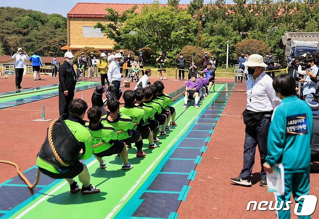 스포츠줄다리기 대회 모습© 뉴스1