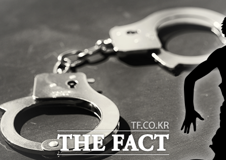 경찰 수갑 이미지/더팩트DB