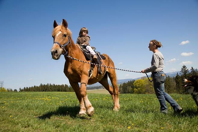 체코 이즈다르나 승마농장