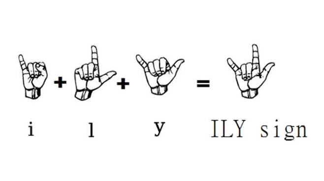 수어 알파벳 I+L+Y=ILY sign