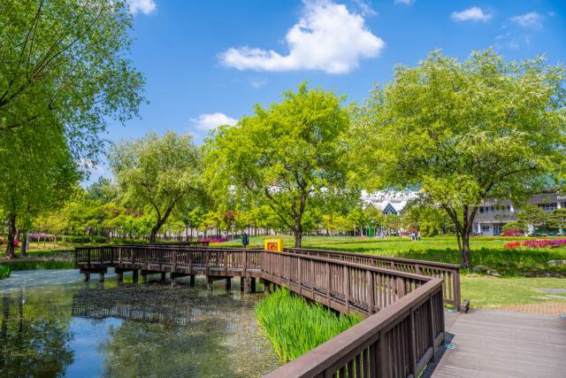 서울창포원/사진=서울관광재단