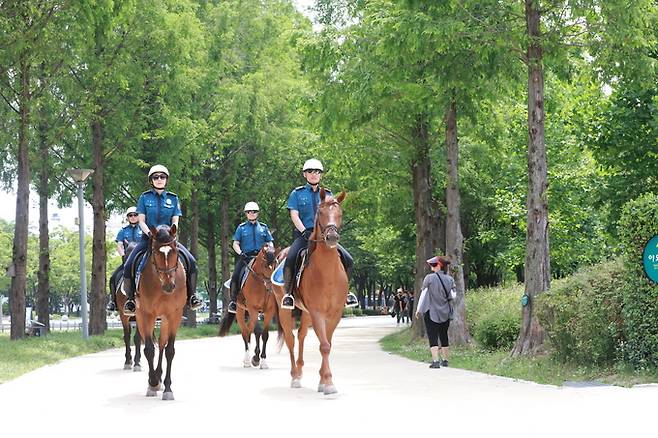 서울경찰청 경찰기마대가 말을 타고 공원을 순찰하고 있다. 서울시 제공