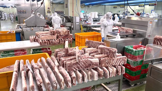지난 16일 경기도 광주시 이마트 미트센터에서 냉동 돼지고기가 가공 과정을 거치고 있다. [사진 이마트]