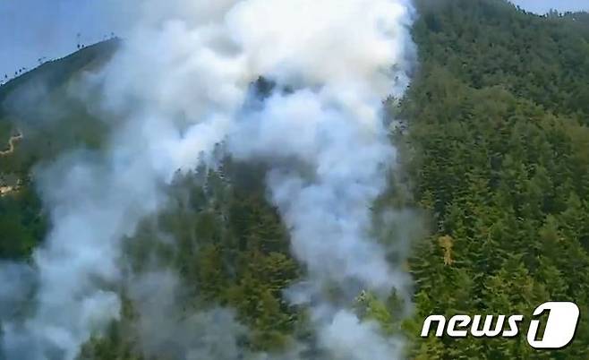 20일 오전 11시 1분쯤 강원 정선군 임계면 송계리에서 산불이 발생해 산림당국과 소방 등이 헬기 5대, 장비 14대와 인력 144명을 투입, 2시간 44분 만인 이날 오후 1시 45분쯤 꺼졌다.(산림청 중앙산불방지대책본부 제공) 2022.5.20/뉴스1 신관호 기자.