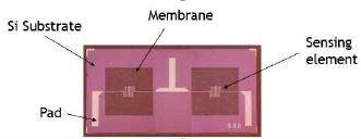 그림입니다. 원본 그림의 이름: CLP000010640001.bmp 원본 그림의 크기: 가로 331pixel, 세로 128pixel