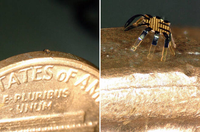 동전 측면에 올라가네…세계서 가장 작은 ‘로봇 게’ 등장 / 미 노스웨스턴대 제공