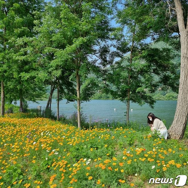 28일 오후 경기 가평군 자라섬 남도 꽃정원. 한 여인이 나무 아래에서 꽃을 바라보고 있다.© 뉴스1