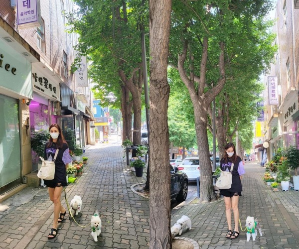 Actor Ko So-young took on her husband, actor Jang Dong-gun, and son, daughter and outing, and grabbed Apgujeong with Rain jewels.Ko So-young posted several pages on his SNS on the 28th of last month.In the photo, Ko So-young walked along the Appgujeong road with two dogs.Ko So-young caught the attention of the viewers at once, showing off the perfect physicals such as the long legs and the cows just before the extinction, as well as the goddess beauty that can not be hidden even though she wears a mask.In particular, Ko So-young showed off his warm family affection by answering with my daughter, today is all family to a fan asking Who do you take a dog walk with?Actor Ku Hye-sun has become a hot topic to show off his Rain jewels, which are as good as luxury goods, even wearing cheap dresses.Ku Hye-sun posted several photos on his SNS on March 31 and posted an article saying, I have a lot of inquiries about dresses worn in advertisements.The dress was purchased for 30,000 won and filmed, and all of it is out of stock now, Ku Hye-sun said.In the ad, he wore a colorful hot pink dress with white skin that made the dress stand out.The slender body of Ku Hye-sun, a chiffon-based dress, was more prominent and the feeling of being more delicate was more emphasized.So, the inquiries of the followers poured out, and eventually Ku Hye-sun answered, but it is out of stock.Singer and actor Rain made a meaningful statement at Blue House, which he wrote on his personal social media on the afternoon of the 31st of last month: What do you think...?I wonder ... he posted a picture, looking at Blue House with his arms folded.Rain was curious about the intense red Rain, white T-shirts and jeans, looking at Blue House and saying what to do.Turns out that he was performing solo at Blue House.After that, Rain said, Hello ~ Rain Rain.Thanks to you, I will perform alone at Blue House on Friday, June 17th at 7 pm Glory and I want to be with you in an open space!Im sure youll give me a quarter of a dozen, he said. 1. Dress code: anything black. Black Sungrass 3. The passion to leave you on Rain.Those who will dance with me for the best stage are those who want to show their faces to 195 countries around the world along with Netflix who will burn the passion and passion that they have been hiding for the best stage. Actor Choi Jin-sils daughter Choi Joon-Hee has revealed her hot touch with her boyfriend.Choi Joon-Hee posted on SNS on the 1st of last month, I was sorry that I could not go to the water park last year and I could not go to the pool villa. I did not know why there was such a beautiful pool villa in Busan. I did.The photos released along with this became a hot topic.Choi Joon-Hee showed her deep skinny in a swimsuit as she hugged her boyfriend and kissed him at the swimming pool in Full Villa.Singer Lim Chang-jungs wife, Seo Hee-yan, unveiled the days when she was 80kg.When I followed my dads United States of America performance three years ago, when the iPhone forgets, I am still asleep and admiring Alone in United States of America, he told his SNS on the 3rd.The seven-month Jansan woman and Junjae, who had Junpyo on the boat, were reminiscenced about the childrens voice, the middle-aged and ungambling ambivalence, and my warm 80-kilo picture, as well as the United States of America (why are you not in the United States of America photo?) I did.In the photo, Seo Hee-yan is seven months of pregnancy, but she is so thin that she can not believe that she is a pregnant woman.SNS