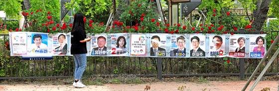 제8회 전국동시지방선거 공식 선거운동 첫날인 지난달 19일 오후 세종시 보람동에 부착된 시장, 비례대표, 교육감 후보들의 벽보를 한 시민이 바라보고 있다. 연합뉴스