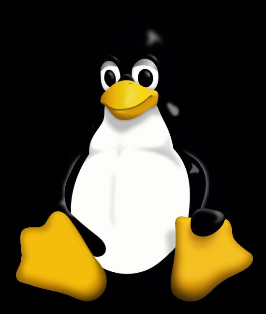 리눅스의 상징인 펭귄.