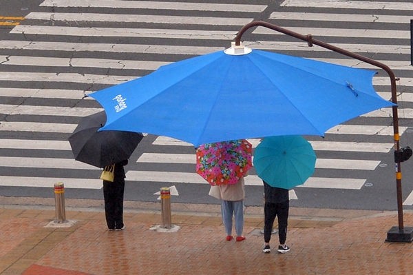 목요일에는 전국이 흐리고 일본으로 향하는 정체전선(장마전선) 영향을 받아 일부지역에선 최대 80㎜ 비가 내릴 전망이다. 사진은 지난 14일 경북 포항시청 횡단보도 앞 대형 그늘막 아래 우산을 쓴 시민들. /사진=뉴스1
