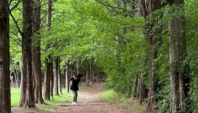 판교의 한 지역 커뮤니티에 올라온 사진. 공원에서 골프를 치는 골프족의 모습./온라인 커뮤니티 캡처