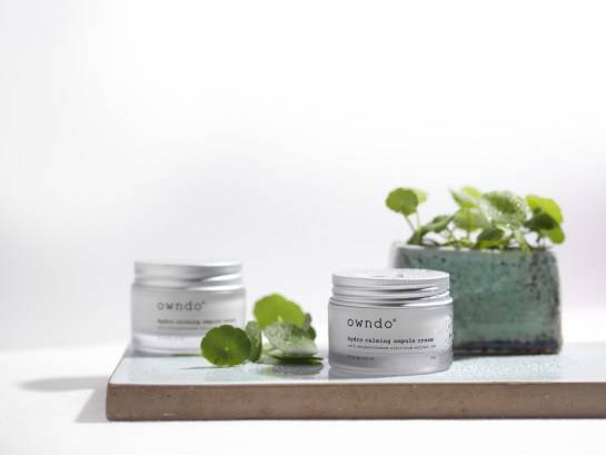 브로컬리컴퍼니의 구절초 앰플 크림 이미지. 출처=브로컬리컴퍼니