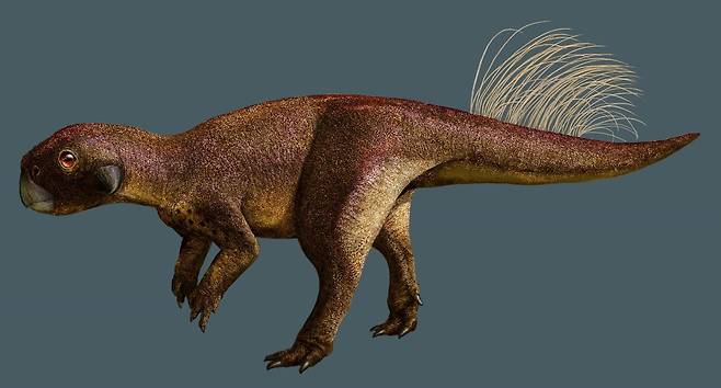 프시타코사우루스(Psittacosaurus) 공룡