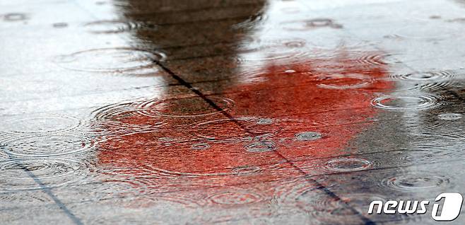 빗방울(뉴스1 DB)