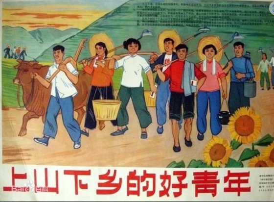 1968년 12월 22일 중국 공산당 기관지 인민일보는 “지식청년은 농촌으로 내려가 빈농으로부터 재교육을 받으라”는 마오쩌둥의 지시를 전하면서 대대적인 ‘상산하향’ 캠페인을 벌였다. [중국 바이두 캡처]