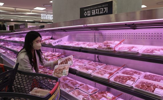 서울 잠실 롯데마트 제타플렉스점에서 고객이 캐나다산 돼지고기를 고르고 있다. 롯데마트 제공.