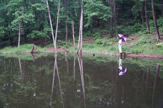 광부 가족들의 애환이 서린 도롱이연못. 지금은 MZ세대 포토존.