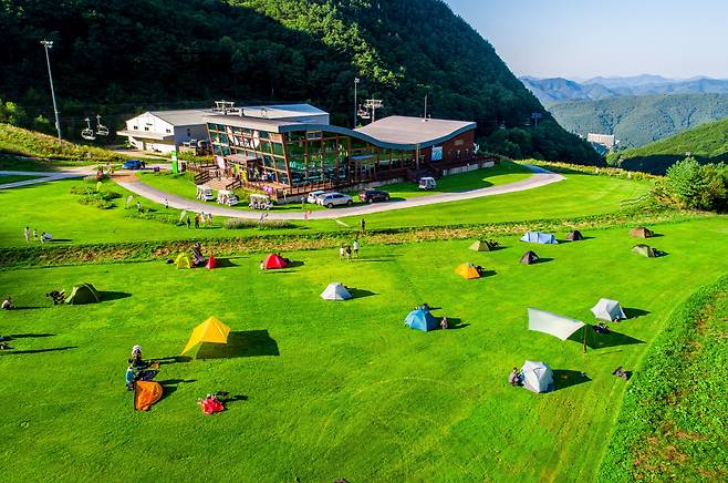 정선 하이원 하늘길 캠프사이트 밸리 허브