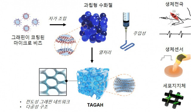 이재영 지스트 신소재공학부 연구팀이 개발에 성공한 그래핀 네트워크가 포함된 전도성 수화젤 개발 및 의공학적 응용분야 모식도 /사진제공=지스트