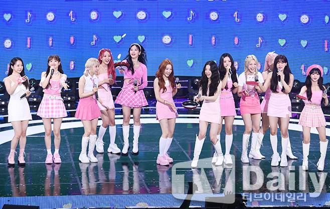 티브이데일리 포토