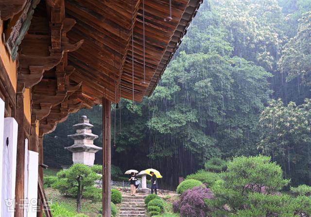 장맛비가 내린 지난 23일, 영주 부석사 무량수전 처마로 낙숫물이 쏟아지고 있다. 세상의 모든 잡음을 흡수하는 빗소리다.