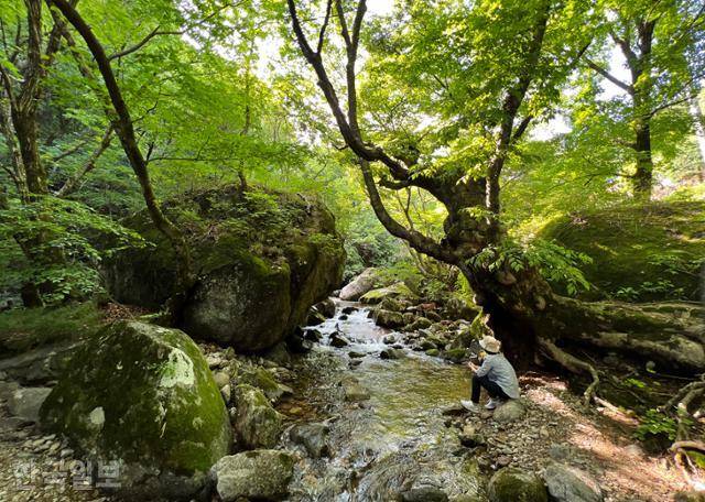 초암사 바로 옆 죽계구곡 2곡 부근 계곡에서 잠시 발을 담글 수 있다.