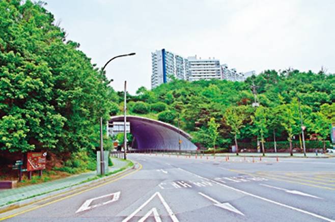 다산로 때문에 끊어진 매봉산 숲을 잇는 버티고개 생태통로.